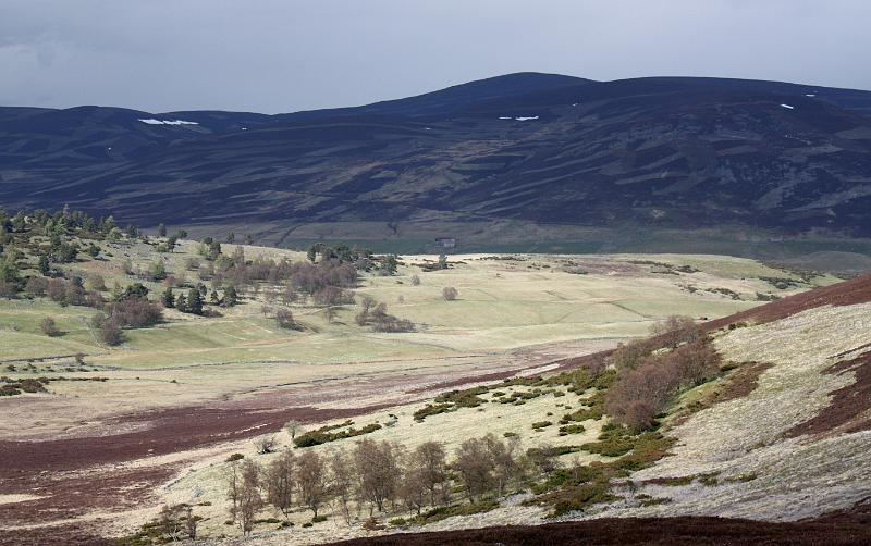 Perth-Aviemore, overzicht dag3, (165).JPG